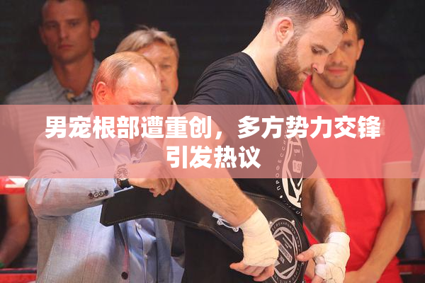 男宠根部遭重创，多方势力交锋引发热议