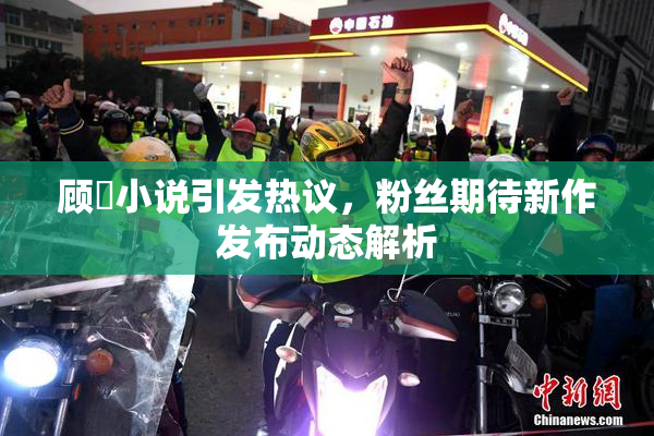 顾嫚小说引发热议，粉丝期待新作发布动态解析