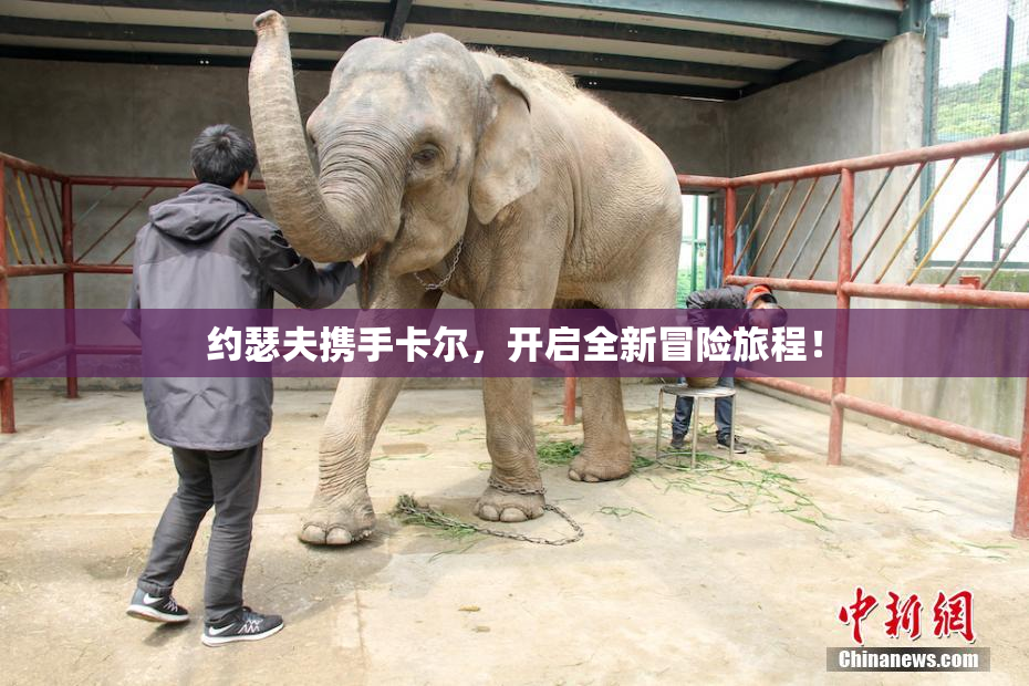 约瑟夫携手卡尔，开启全新冒险旅程！