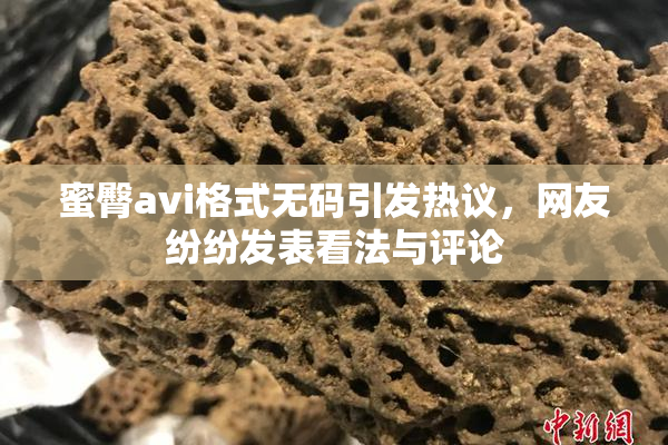 蜜臀avi格式无码引发热议，网友纷纷发表看法与评论