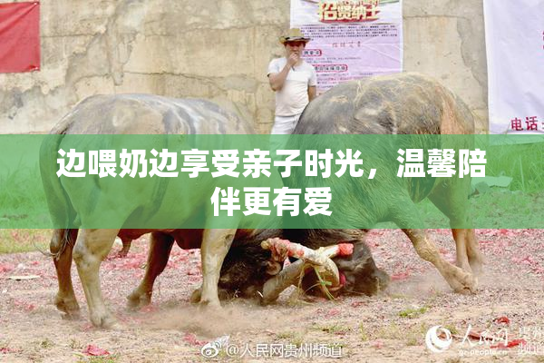 边喂奶边享受亲子时光，温馨陪伴更有爱