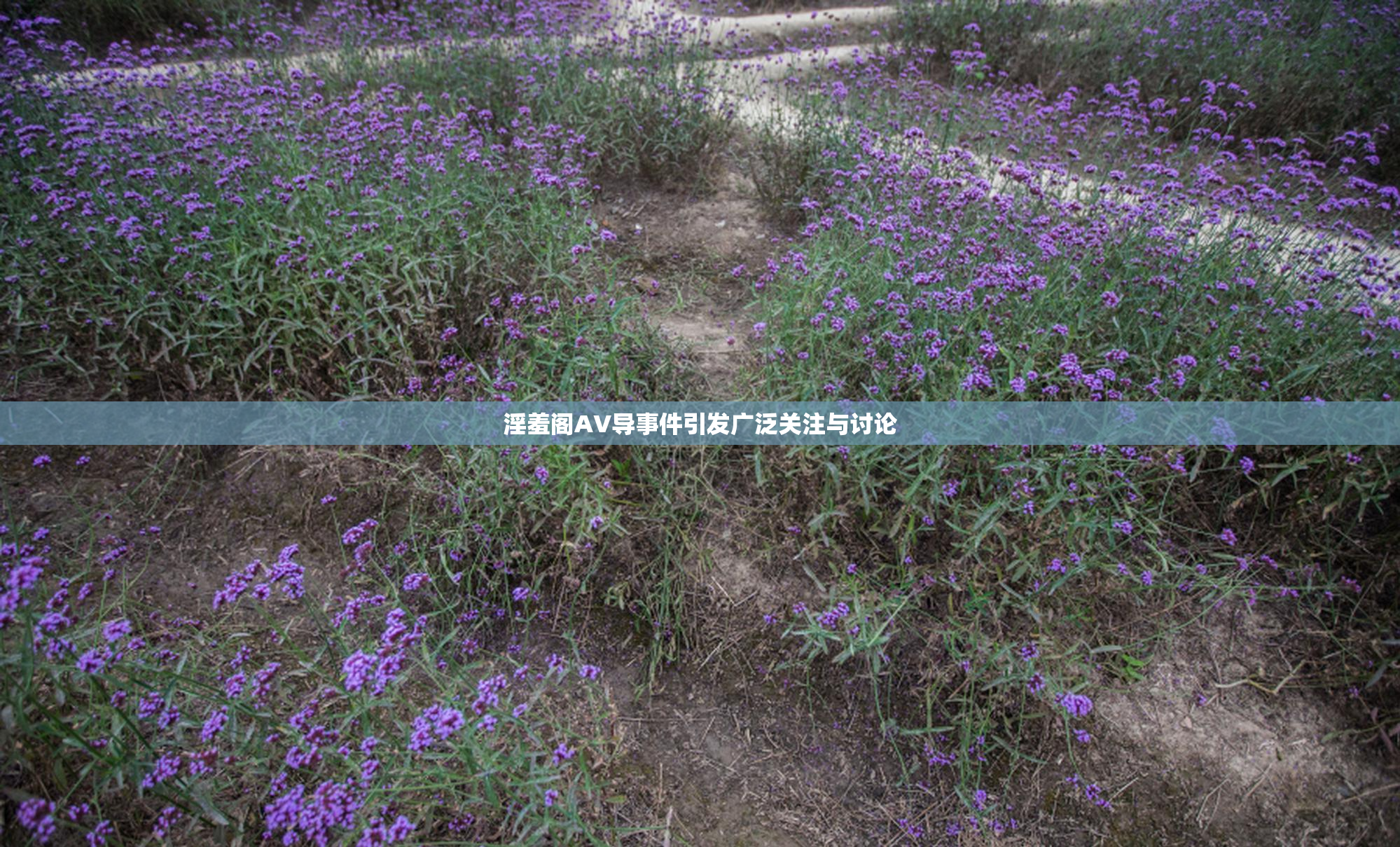 淫羞阁AV导事件引发广泛关注与讨论