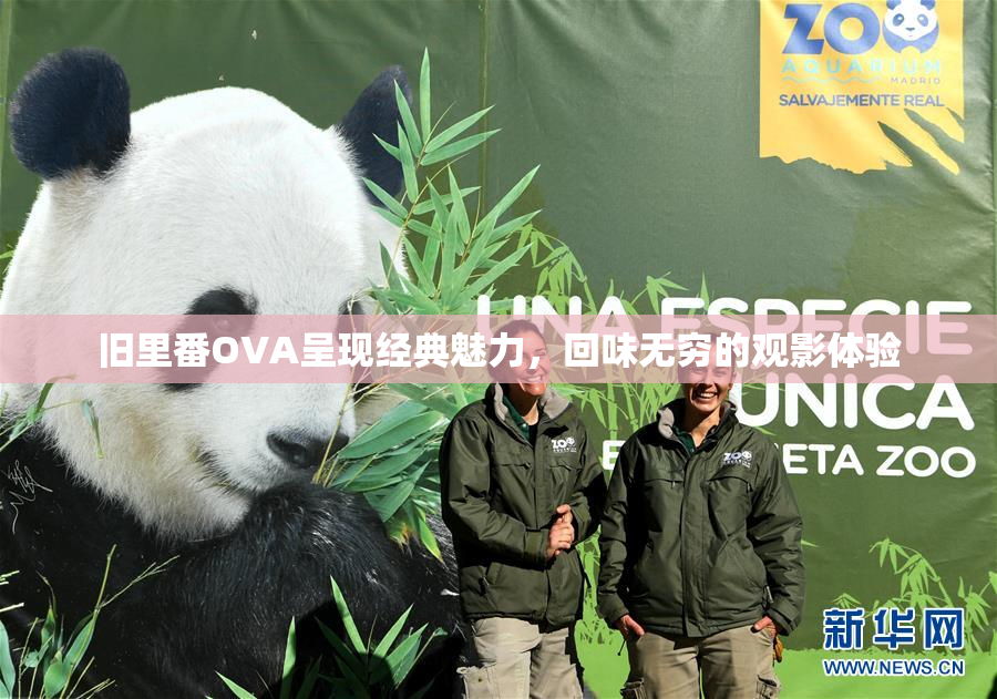 旧里番OVA呈现经典魅力，回味无穷的观影体验