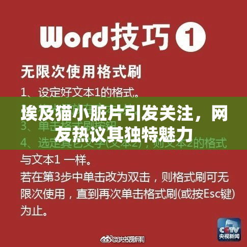 埃及猫小脏片引发关注，网友热议其独特魅力