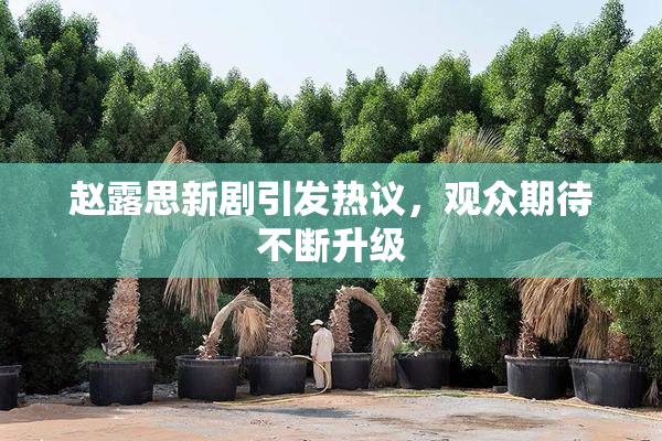 赵露思新剧引发热议，观众期待不断升级