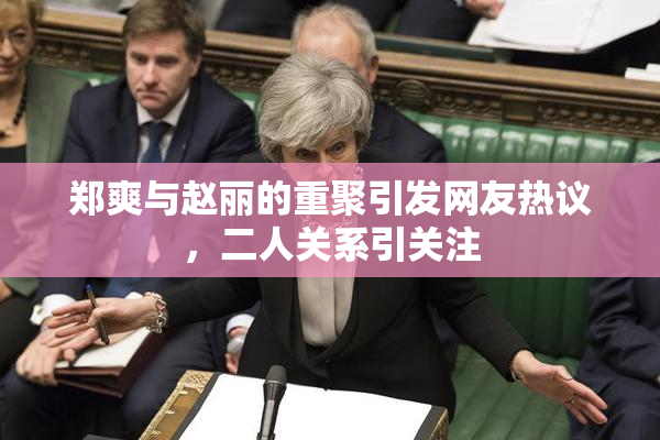 郑爽与赵丽的重聚引发网友热议，二人关系引关注