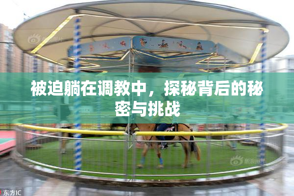 被迫躺在调教中，探秘背后的秘密与挑战