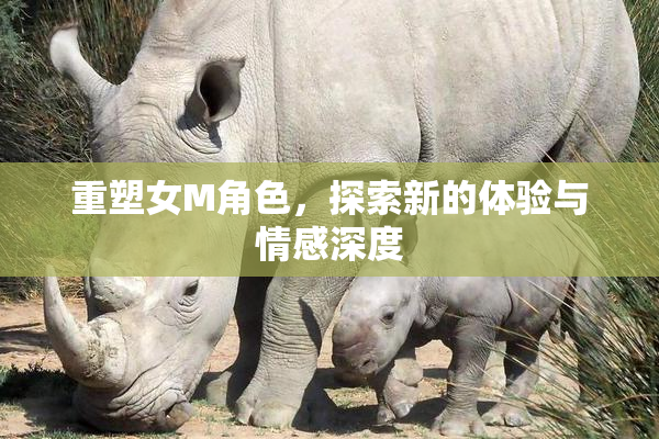 重塑女M角色，探索新的体验与情感深度