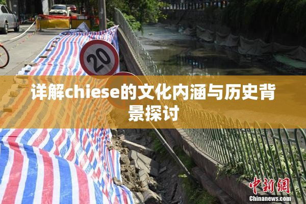 详解chiese的文化内涵与历史背景探讨
