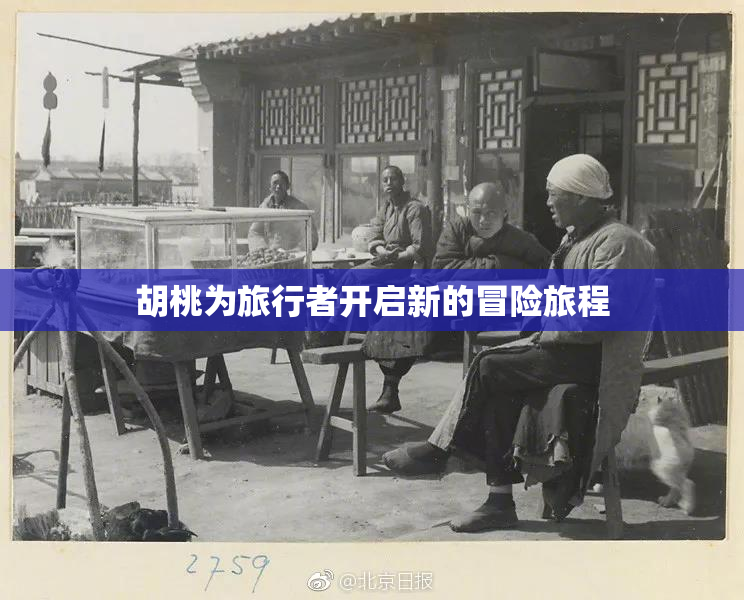 胡桃为旅行者开启新的冒险旅程