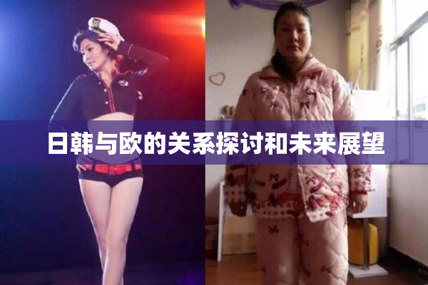日韩与欧的关系探讨和未来展望