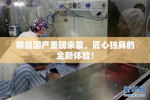 精品国产重磅来袭，匠心独具的全新体验！
