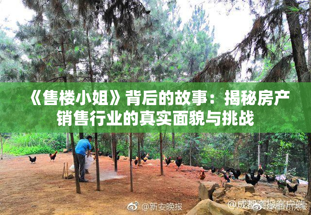 《售楼小姐》背后的故事：揭秘房产销售行业的真实面貌与挑战