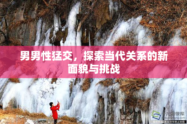 男男性猛交，探索当代关系的新面貌与挑战