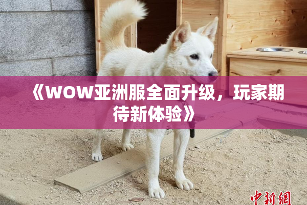 《WOW亚洲服全面升级，玩家期待新体验》