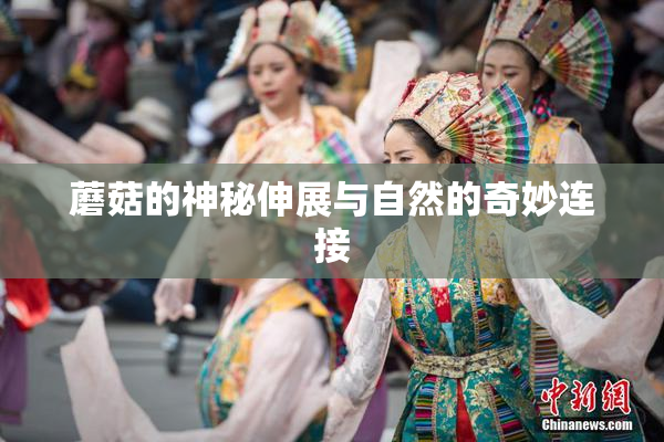 蘑菇的神秘伸展与自然的奇妙连接