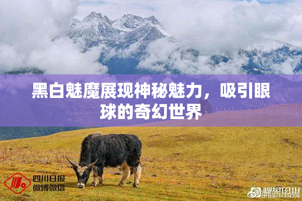 黑白魅魔展现神秘魅力，吸引眼球的奇幻世界