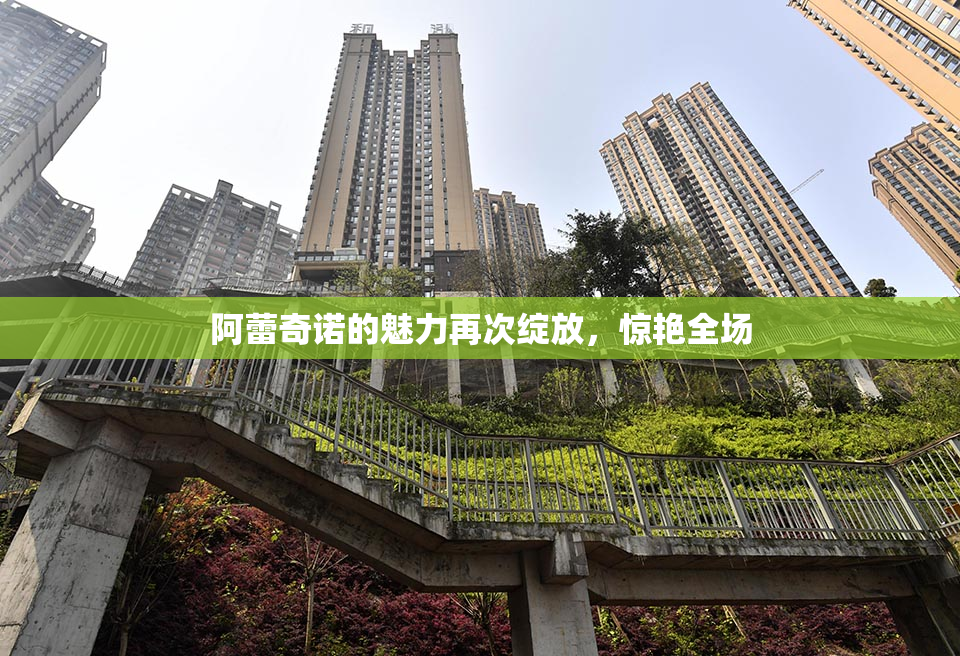 阿蕾奇诺的魅力再次绽放，惊艳全场