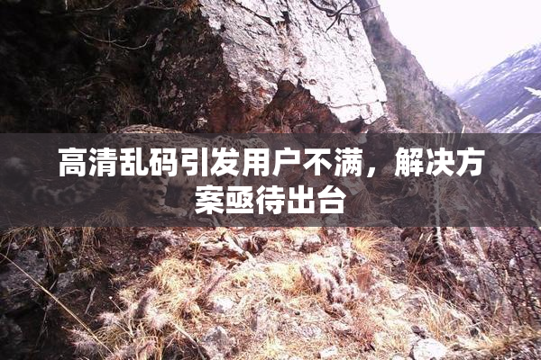 高清乱码引发用户不满，解决方案亟待出台