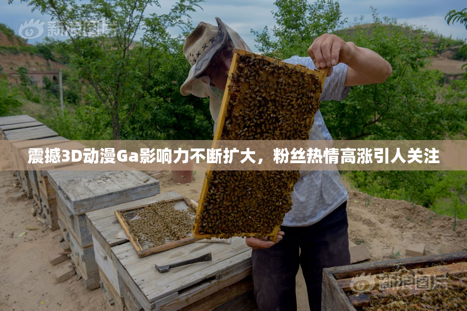 震撼3D动漫Ga影响力不断扩大，粉丝热情高涨引人关注