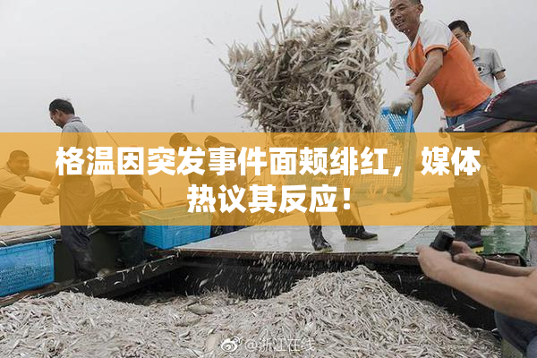 格温因突发事件面颊绯红，媒体热议其反应！