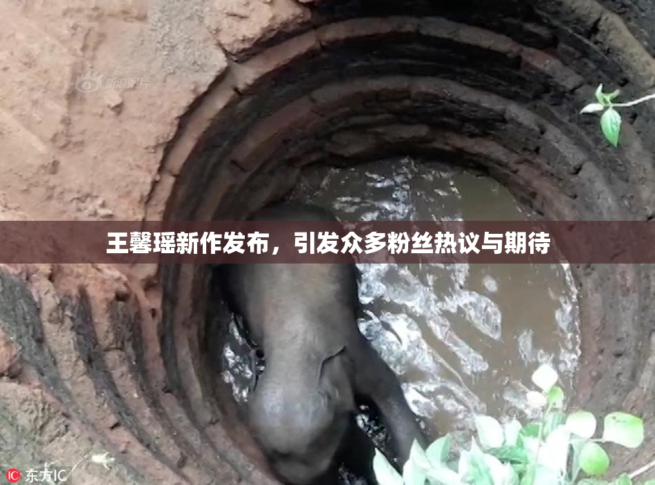 王馨瑶新作发布，引发众多粉丝热议与期待