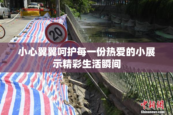 小心翼翼呵护每一份热爱的小展示精彩生活瞬间