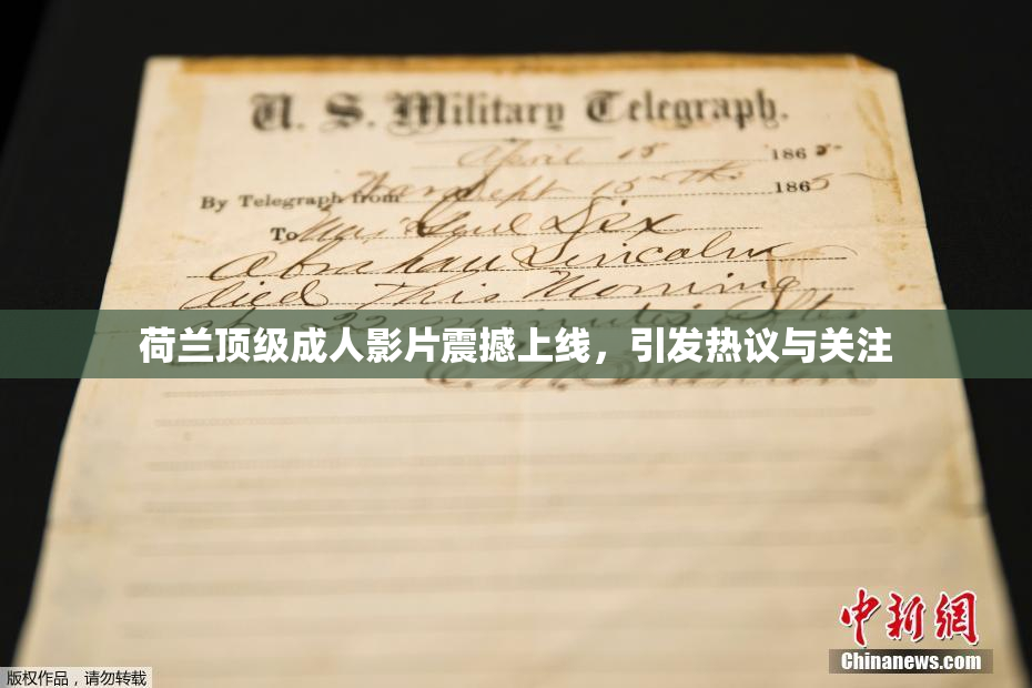 荷兰顶级成人影片震撼上线，引发热议与关注