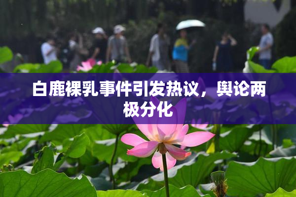 白鹿裸乳事件引发热议，舆论两极分化