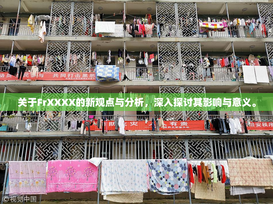 关于FrXXXX的新观点与分析，深入探讨其影响与意义。