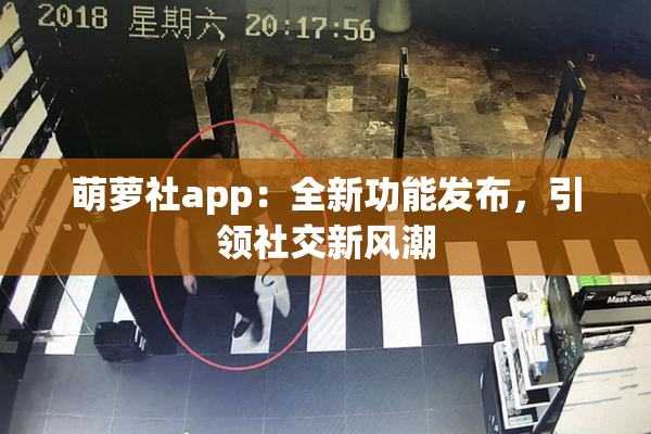 萌萝社app：全新功能发布，引领社交新风潮