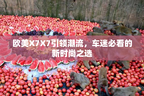 欧美X7X7引领潮流，车迷必看的新时尚之选