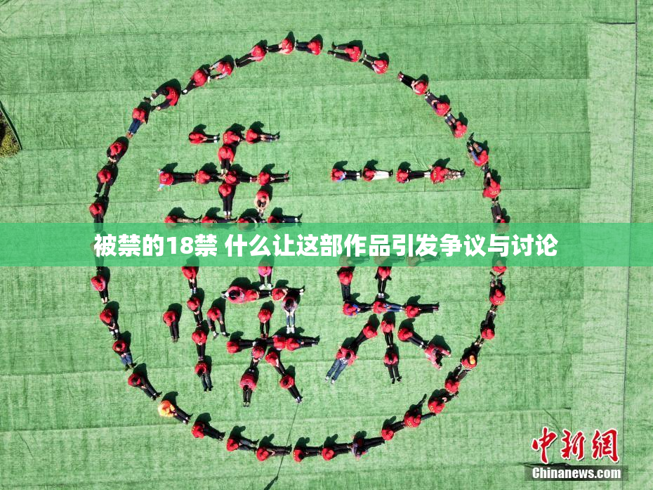 被禁的18禁 什么让这部作品引发争议与讨论