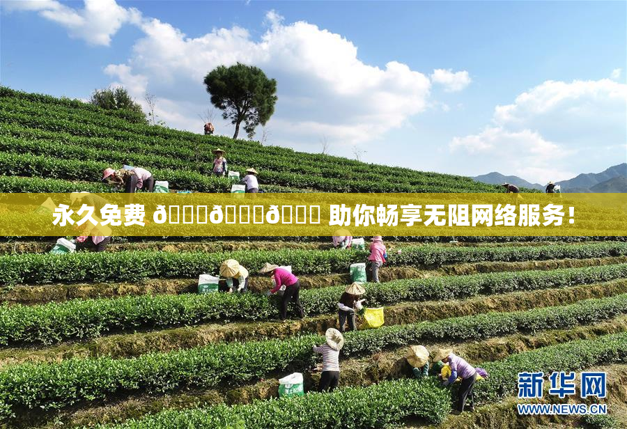 永久免费 🔞🔞🔞 助你畅享无阻网络服务！