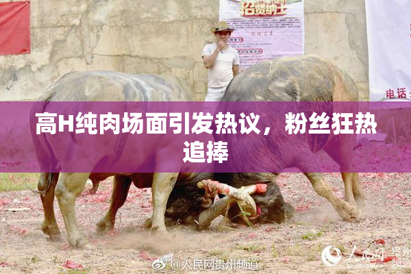 高H纯肉场面引发热议，粉丝狂热追捧