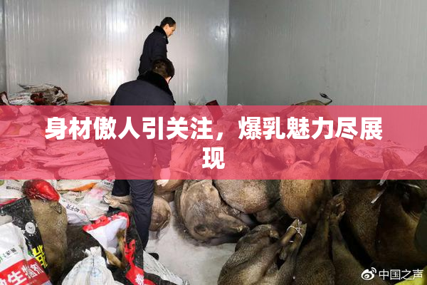 身材傲人引关注，爆乳魅力尽展现