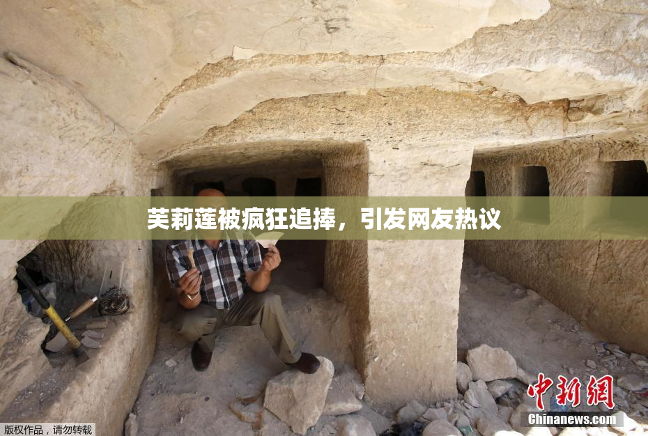 芙莉莲被疯狂追捧，引发网友热议