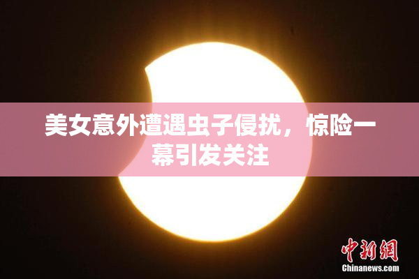 美女意外遭遇虫子侵扰，惊险一幕引发关注