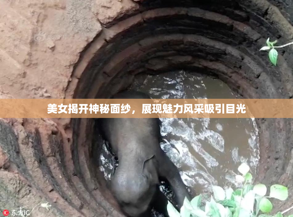 美女揭开神秘面纱，展现魅力风采吸引目光