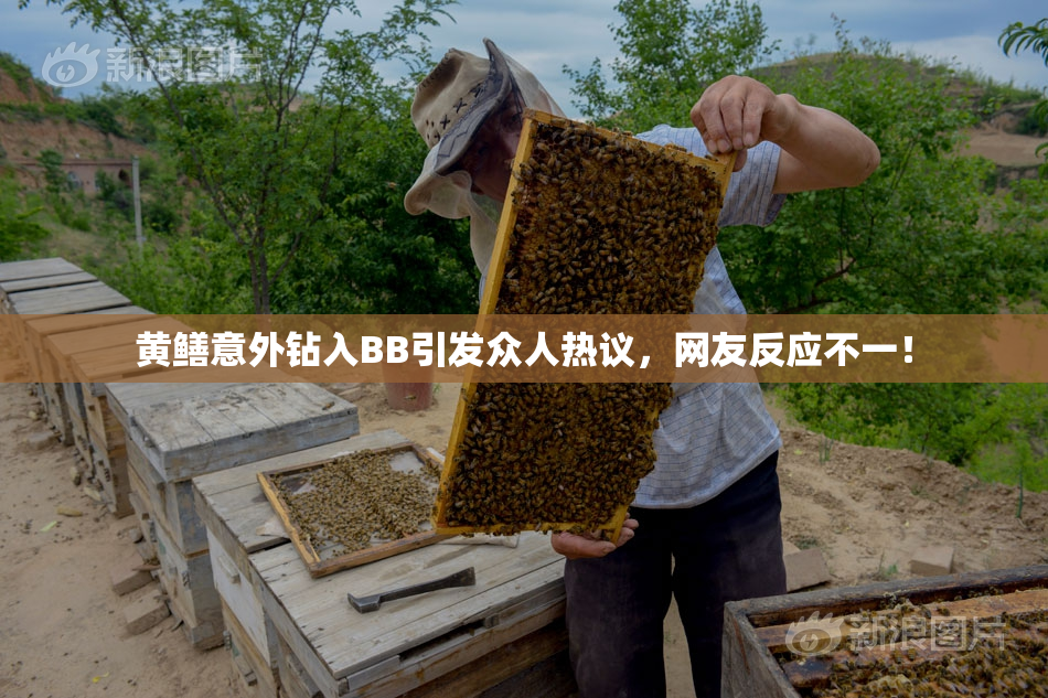 黄鳝意外钻入BB引发众人热议，网友反应不一！