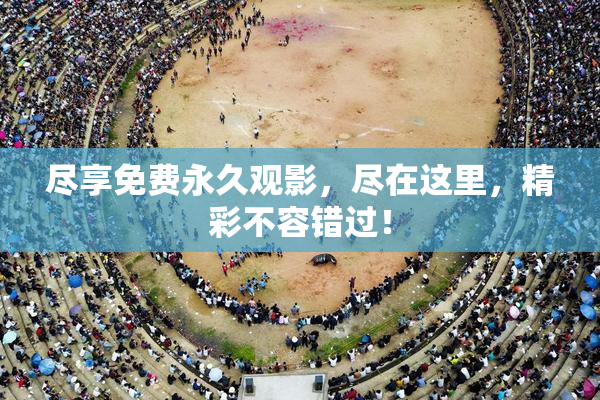 尽享免费永久观影，尽在这里，精彩不容错过！