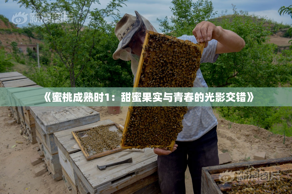 《蜜桃成熟时1：甜蜜果实与青春的光影交错》