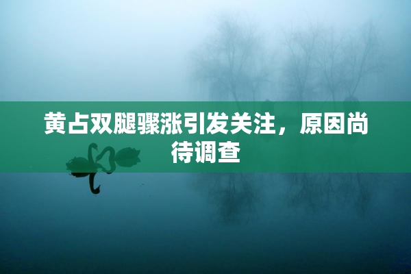 黄占双腿骤涨引发关注，原因尚待调查