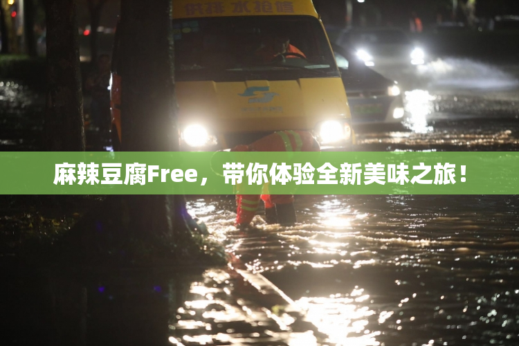 麻辣豆腐Free，带你体验全新美味之旅！