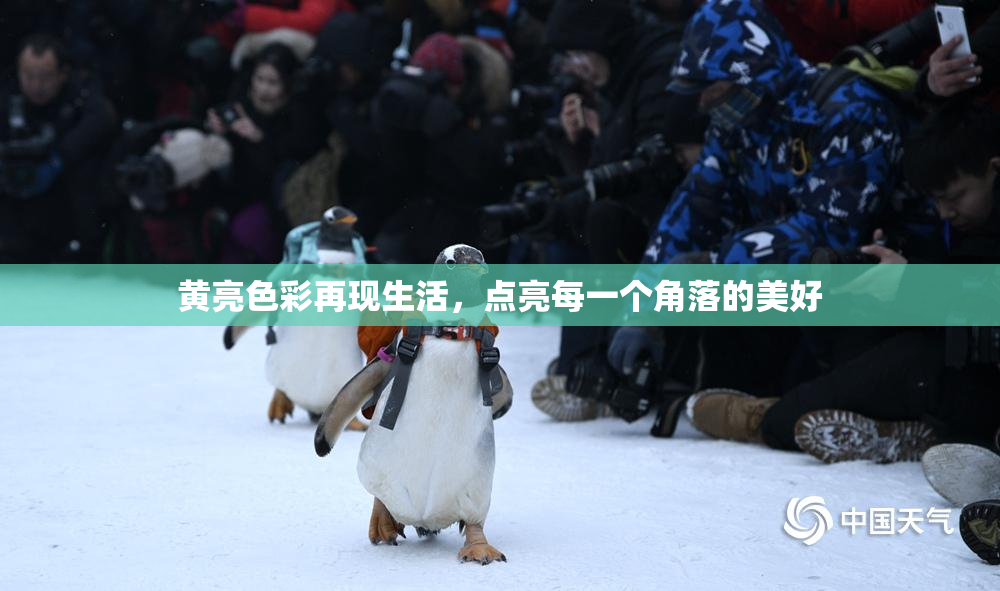 黄亮色彩再现生活，点亮每一个角落的美好