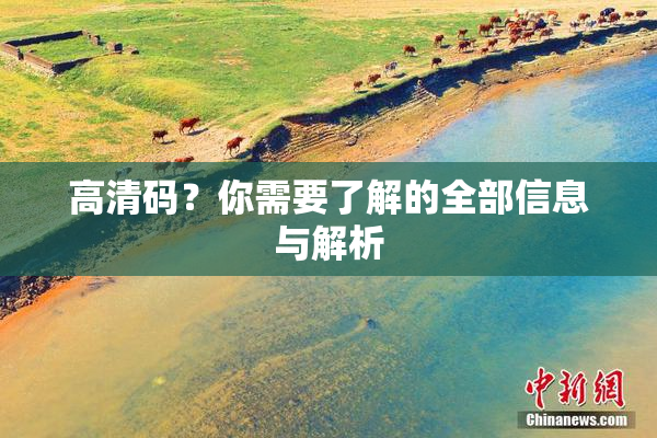 高清码？你需要了解的全部信息与解析