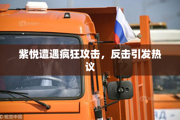 紫悦遭遇疯狂攻击，反击引发热议