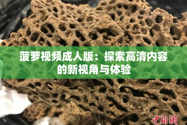 菠萝视频成人版：探索高清内容的新视角与体验
