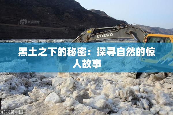 黑土之下的秘密：探寻自然的惊人故事