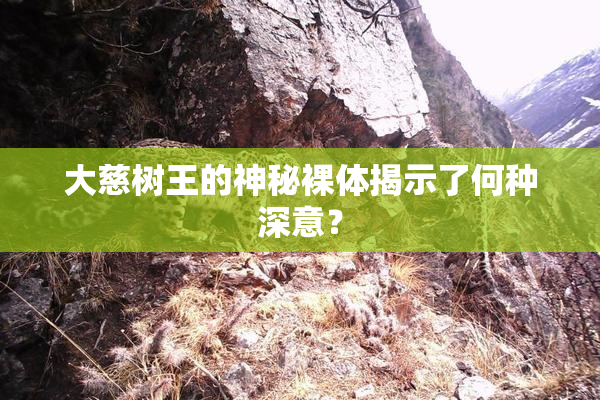大慈树王的神秘裸体揭示了何种深意？